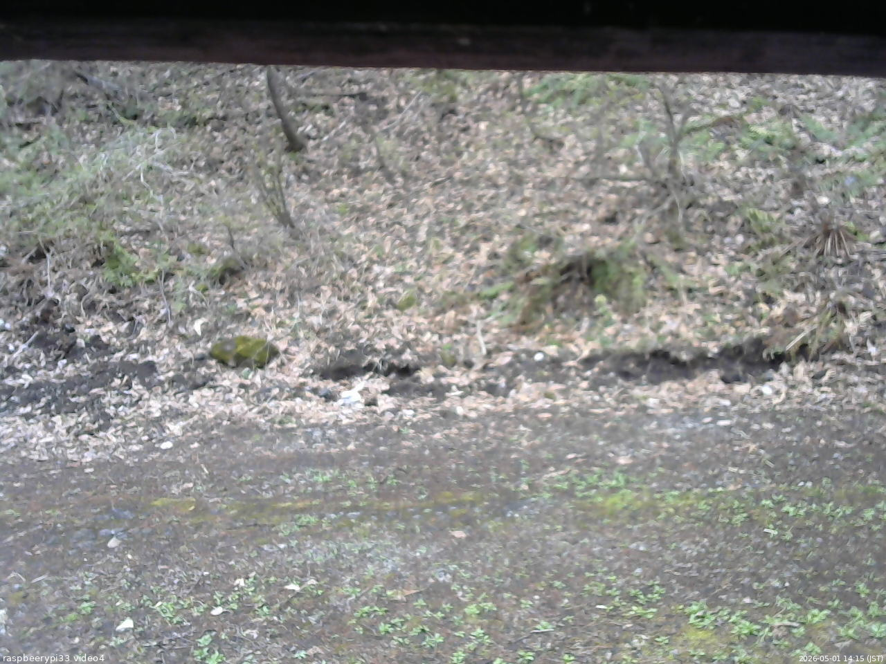 長野県菅平高原 ゆたか山荘 東側(坂下) 2026/05/01 14:15