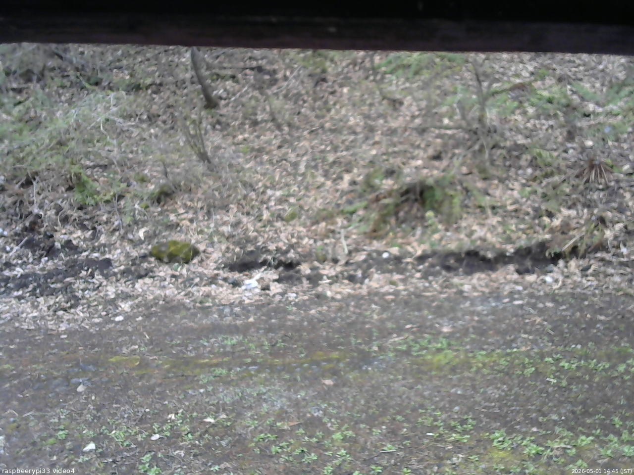 長野県菅平高原 ゆたか山荘 東側(坂下) 2026/05/01 14:45