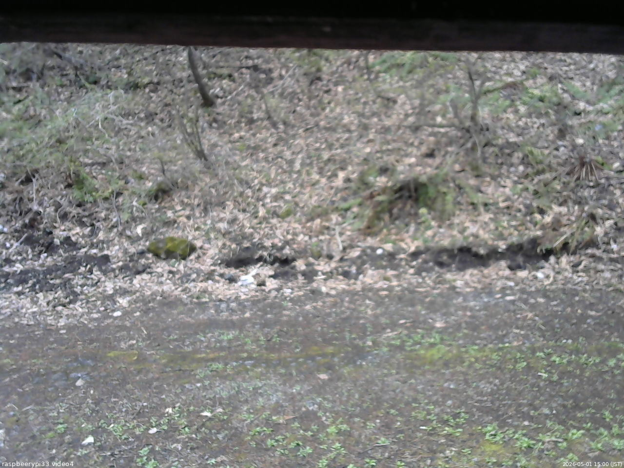 長野県菅平高原 ゆたか山荘 東側(坂下) 2026/05/01 15:00