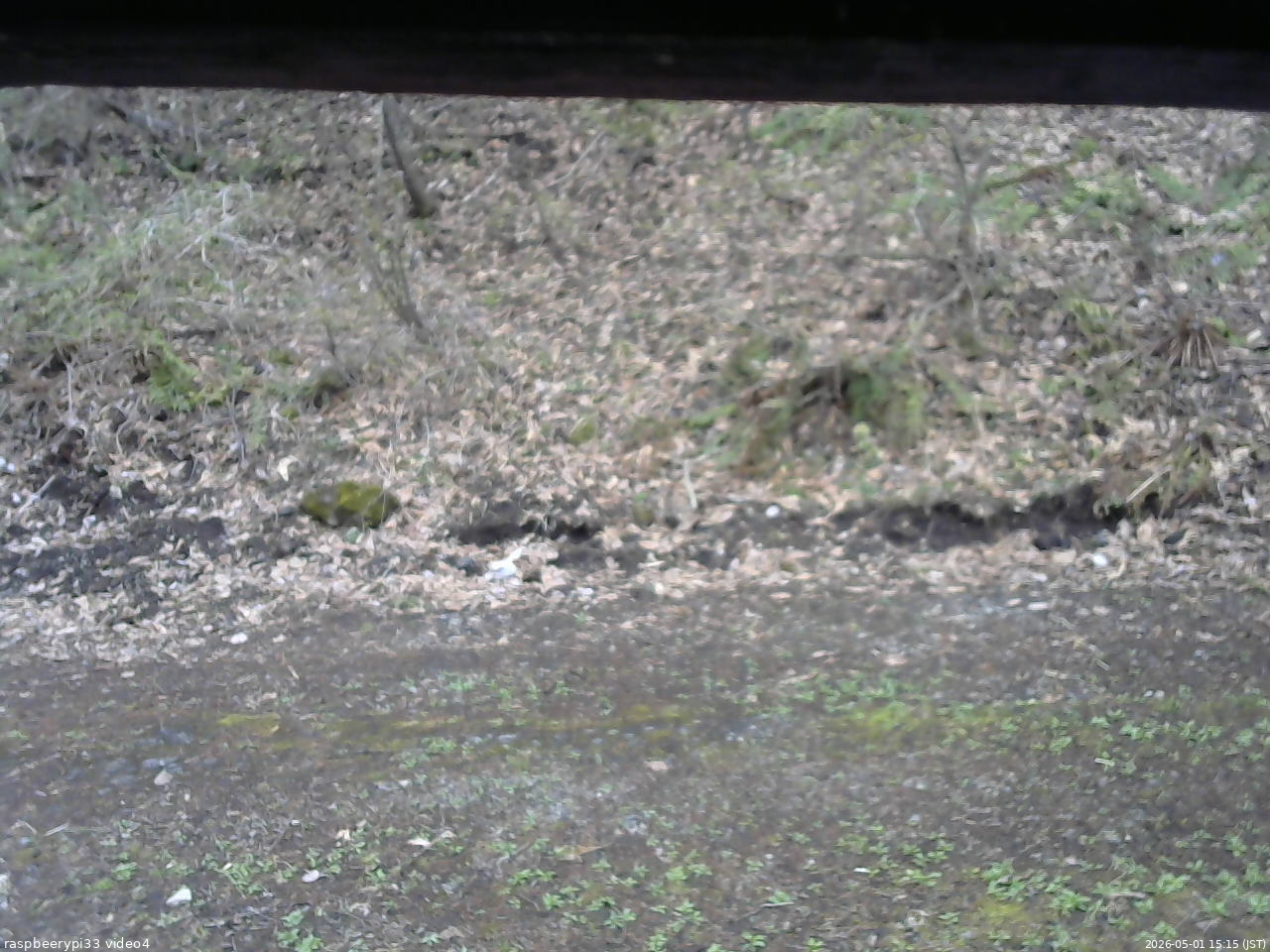 長野県菅平高原 ゆたか山荘 東側(坂下) 2026/05/01 15:15