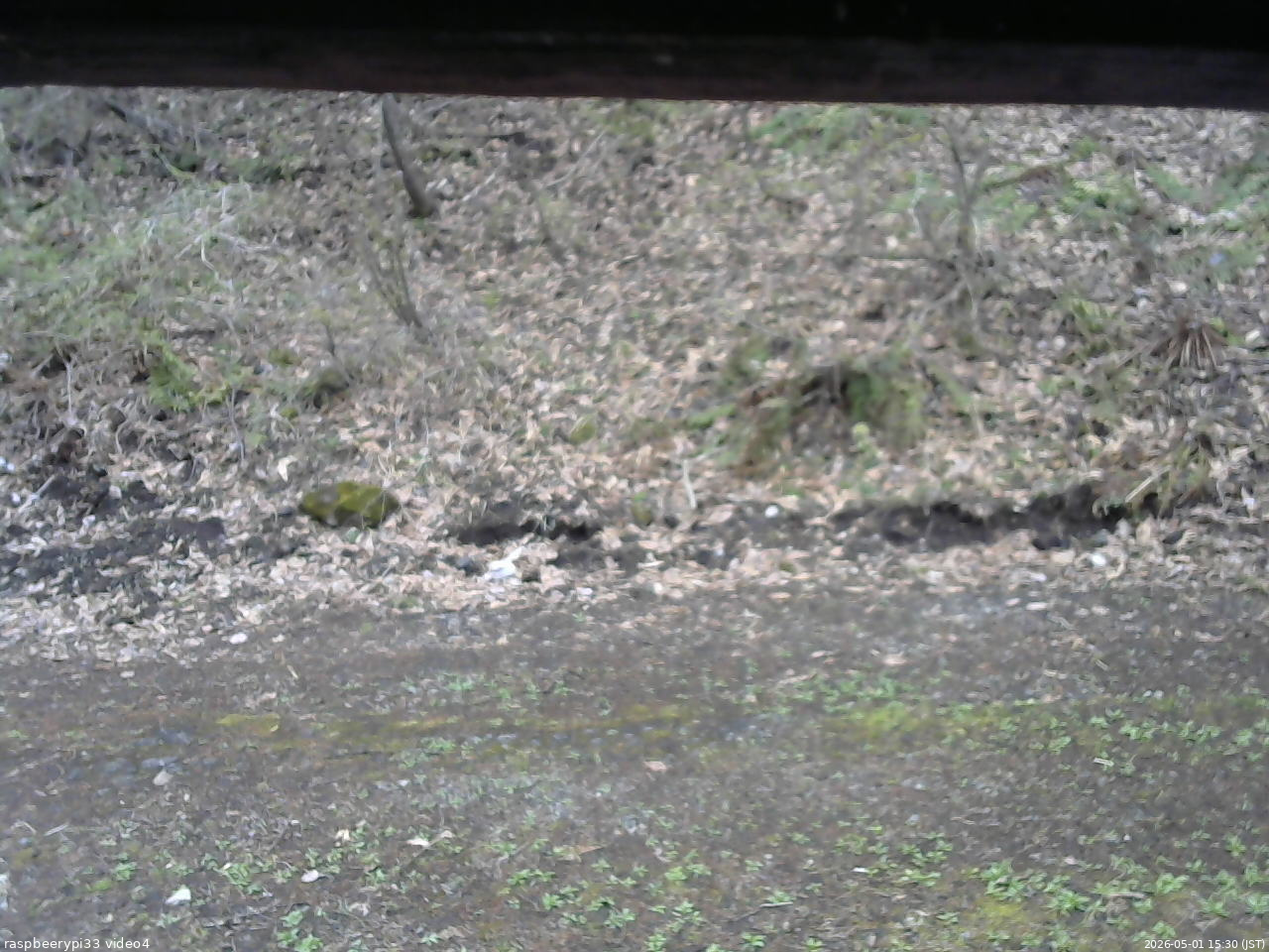 長野県菅平高原 ゆたか山荘 東側(坂下) 2026/05/01 15:30