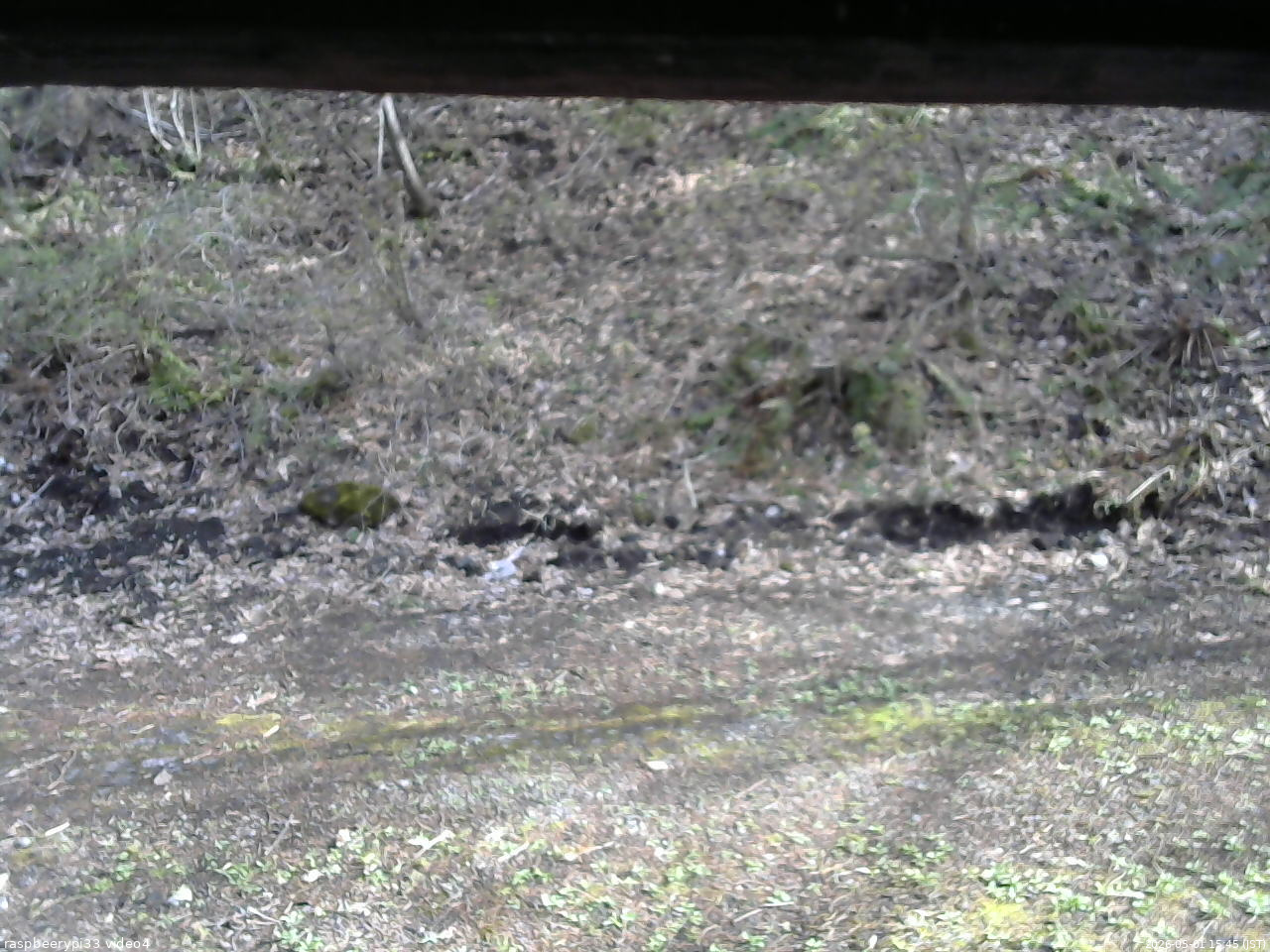 長野県菅平高原 ゆたか山荘 東側(坂下) 2026/05/01 15:45