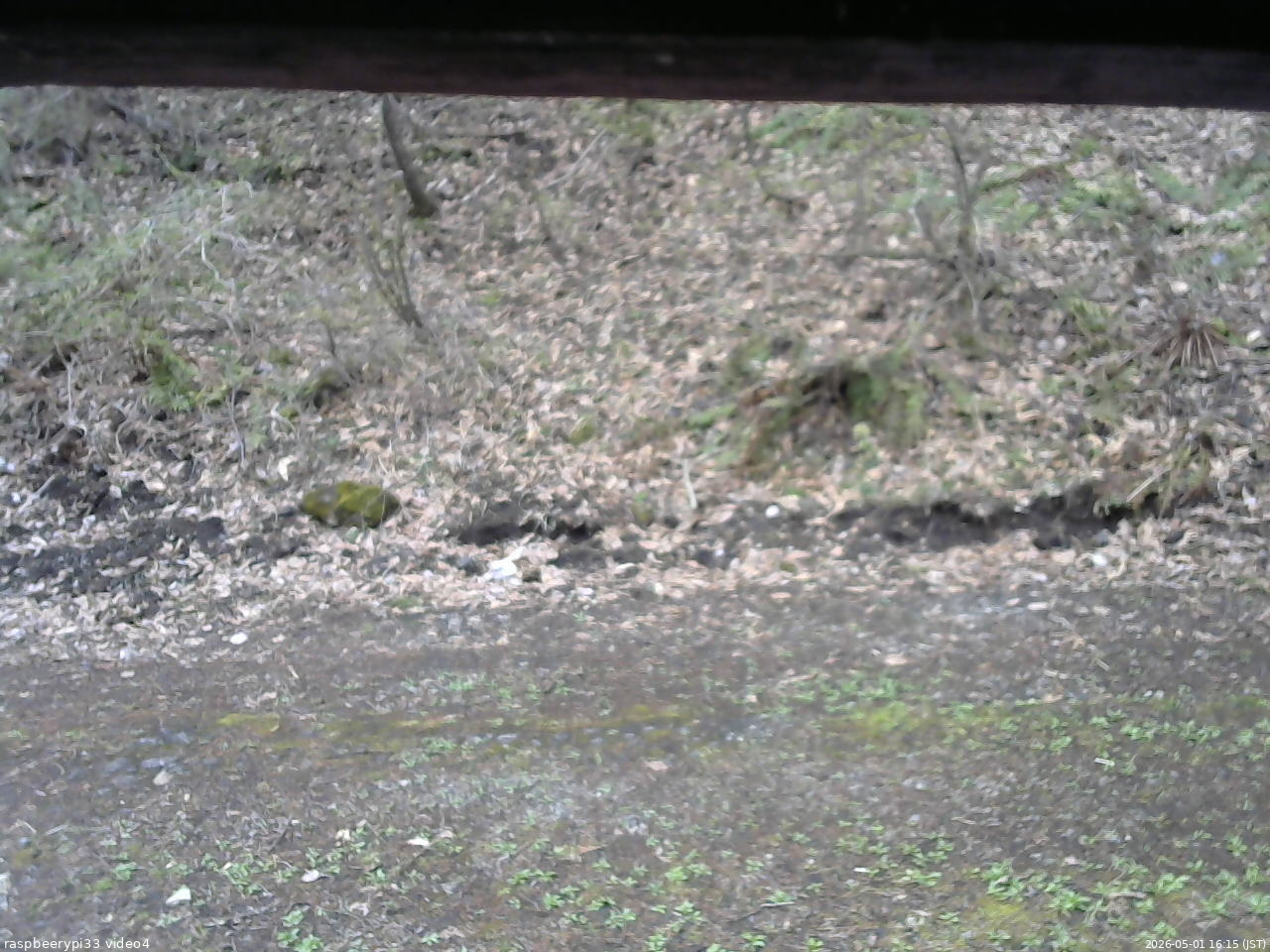 長野県菅平高原 ゆたか山荘 東側(坂下) 2026/05/01 16:15