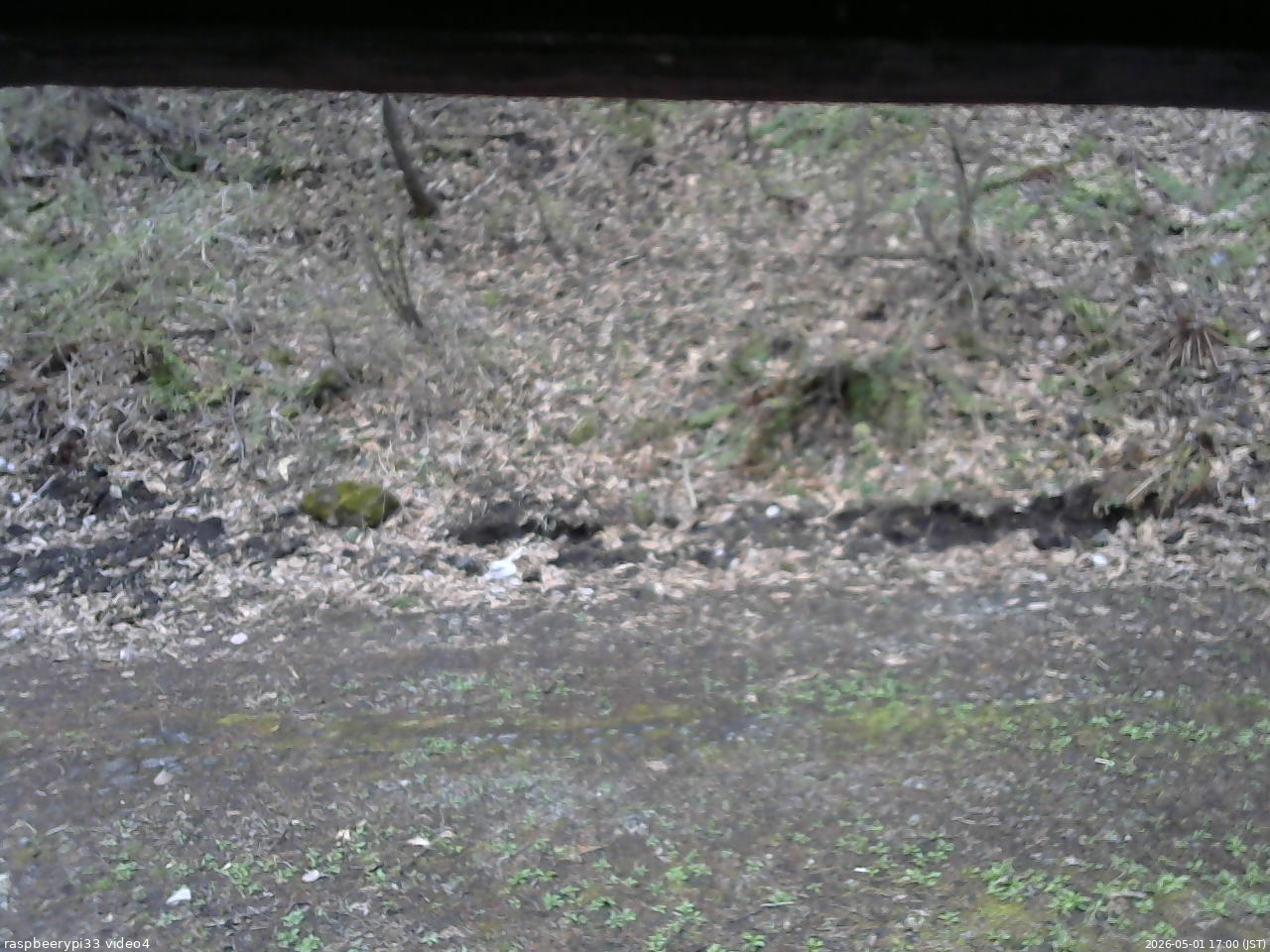 長野県菅平高原 ゆたか山荘 東側(坂下) 2026/05/01 17:00