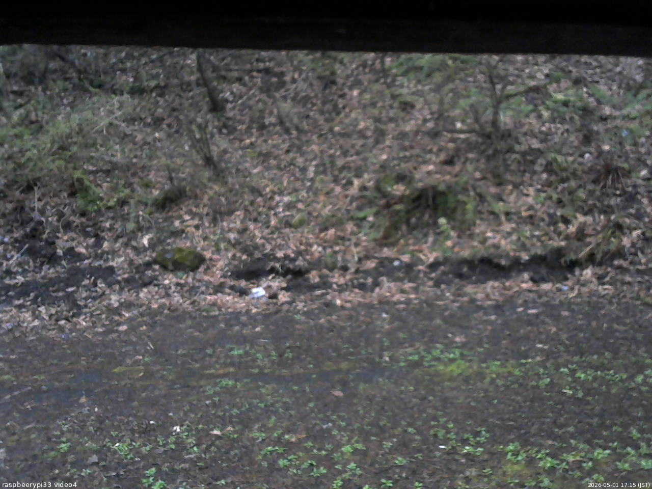 長野県菅平高原 ゆたか山荘 東側(坂下) 2026/05/01 17:15
