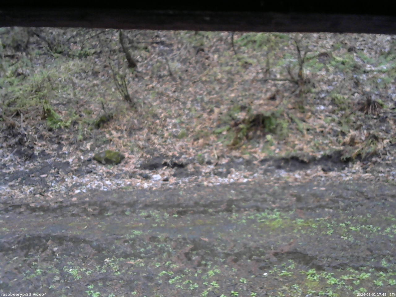長野県菅平高原 ゆたか山荘 東側(坂下) 2026/05/01 17:45