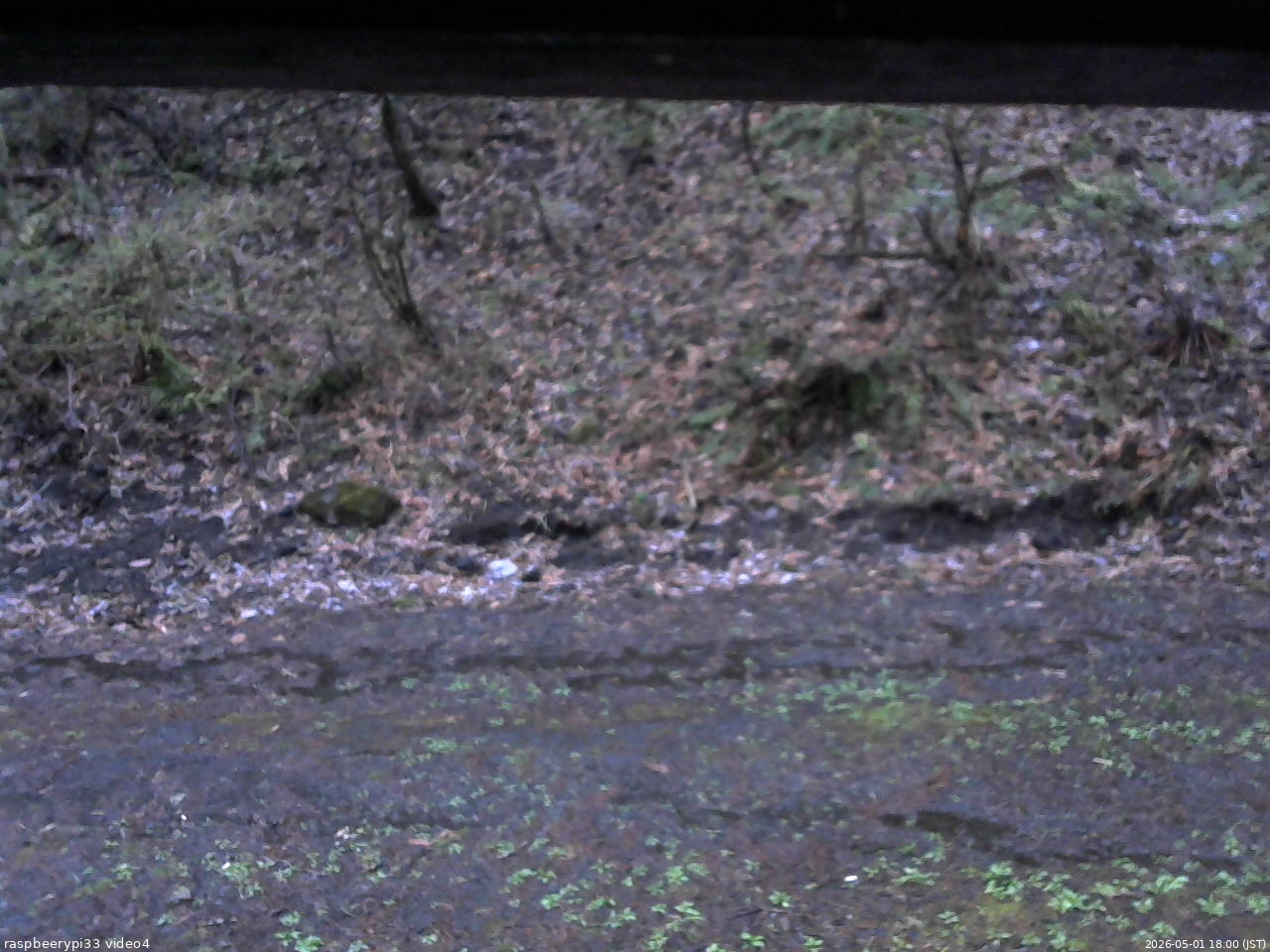 長野県菅平高原 ゆたか山荘 東側(坂下) 2026/05/01 18:00