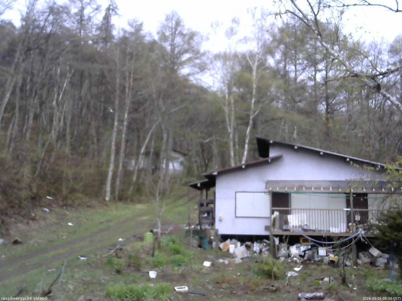 長野県菅平高原 ゆたか山荘 西側(坂上) 2026/05/01 05:30