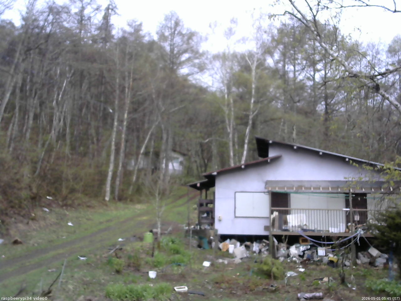 長野県菅平高原 ゆたか山荘 西側(坂上) 2026/05/01 05:45