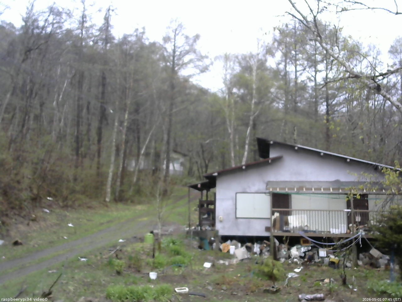 長野県菅平高原 ゆたか山荘 西側(坂上) 2026/05/01 07:45