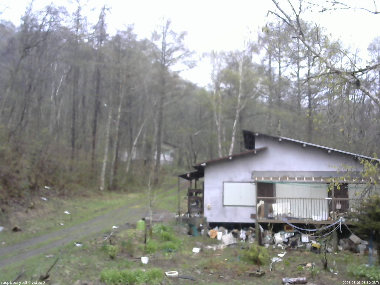 長野県菅平高原 ゆたか山荘 西側(坂上) 2026/05/01 08:30