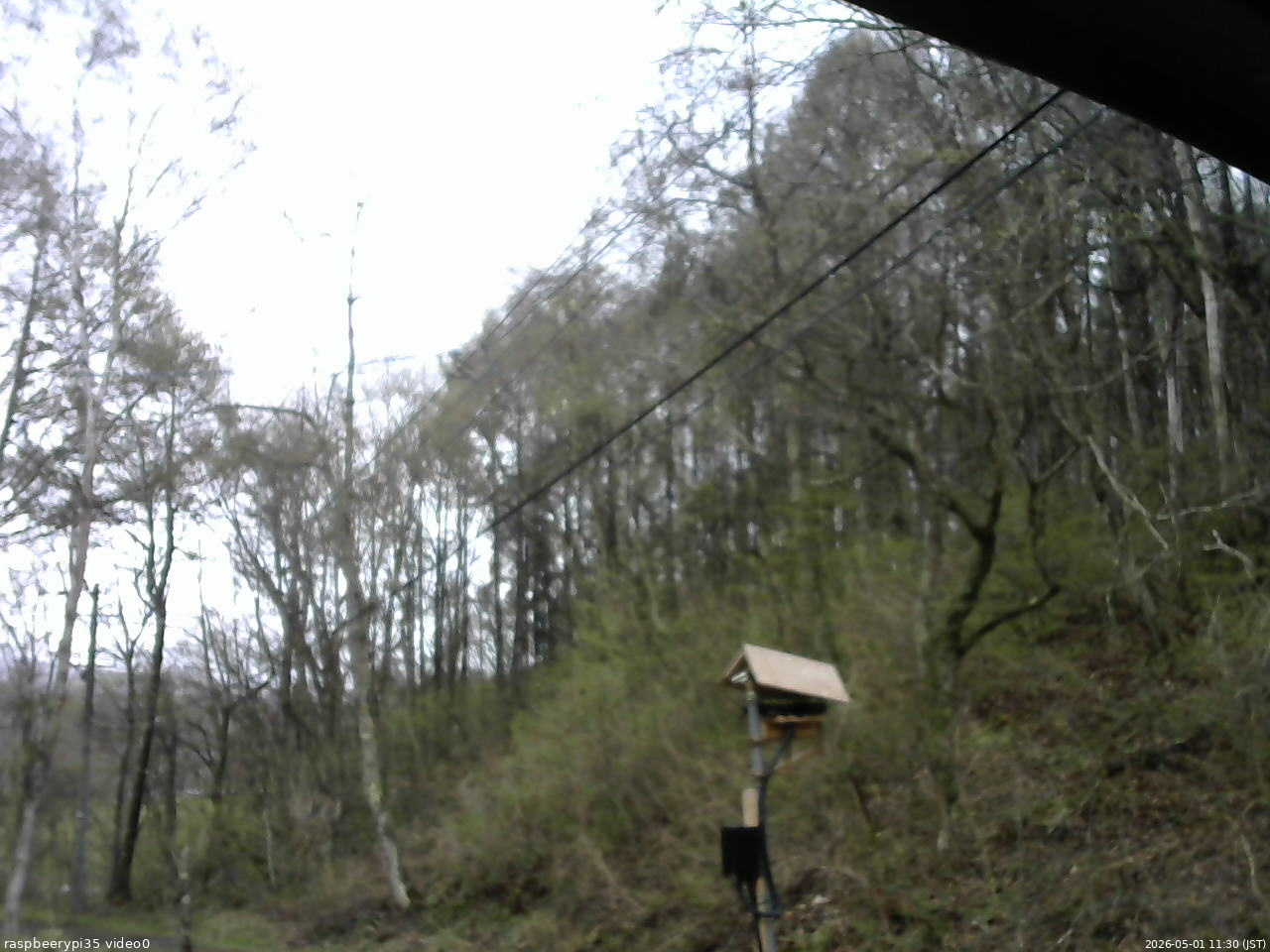 長野県菅平高原 ゆたか山荘 温度計 2026/05/01 11:30