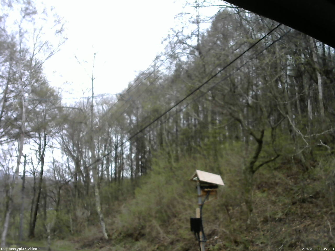 長野県菅平高原 ゆたか山荘 温度計 2026/05/01 12:45