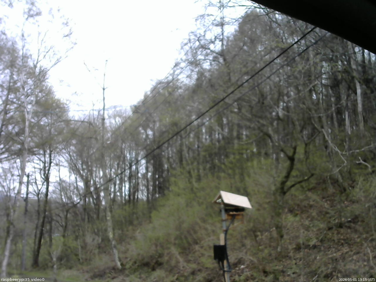 長野県菅平高原 ゆたか山荘 温度計 2026/05/01 13:15