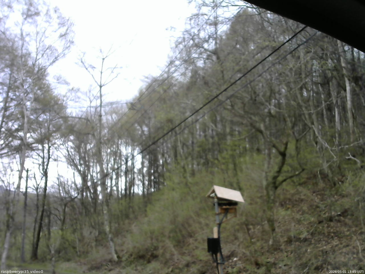 長野県菅平高原 ゆたか山荘 温度計 2026/05/01 13:45