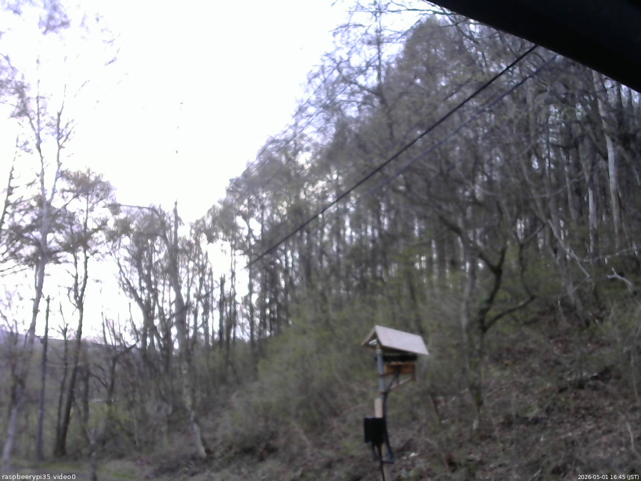 長野県菅平高原 ゆたか山荘 温度計 2026/05/01 16:45
