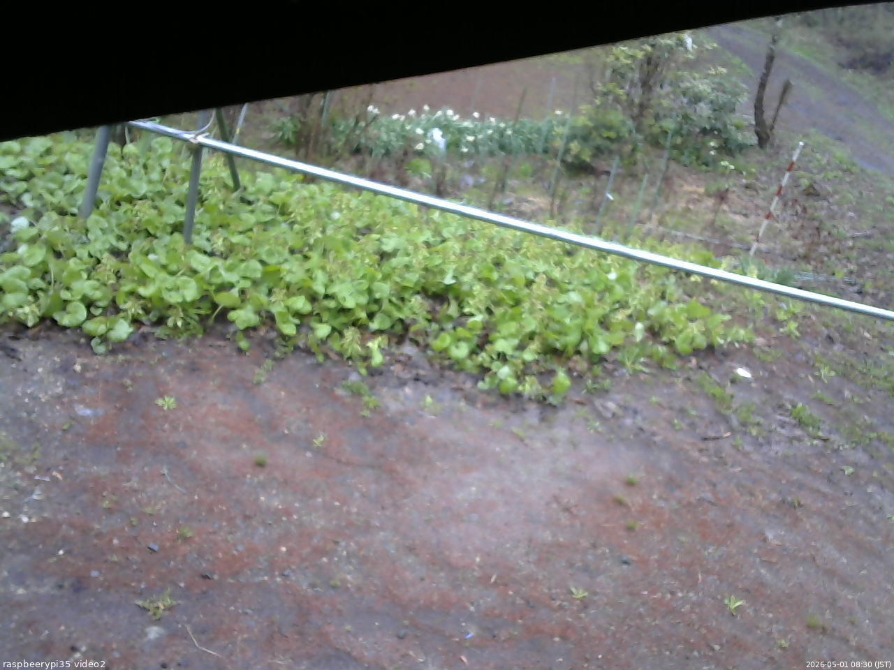 長野県菅平高原 ゆたか山荘 駐車場 2026/05/01 08:30