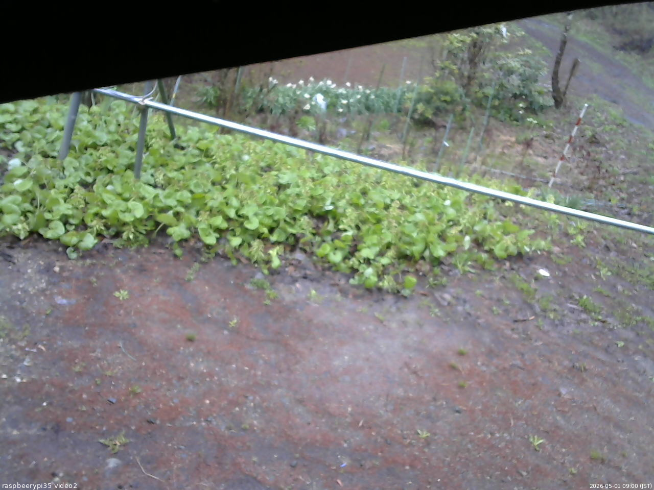 長野県菅平高原 ゆたか山荘 駐車場 2026/05/01 09:00
