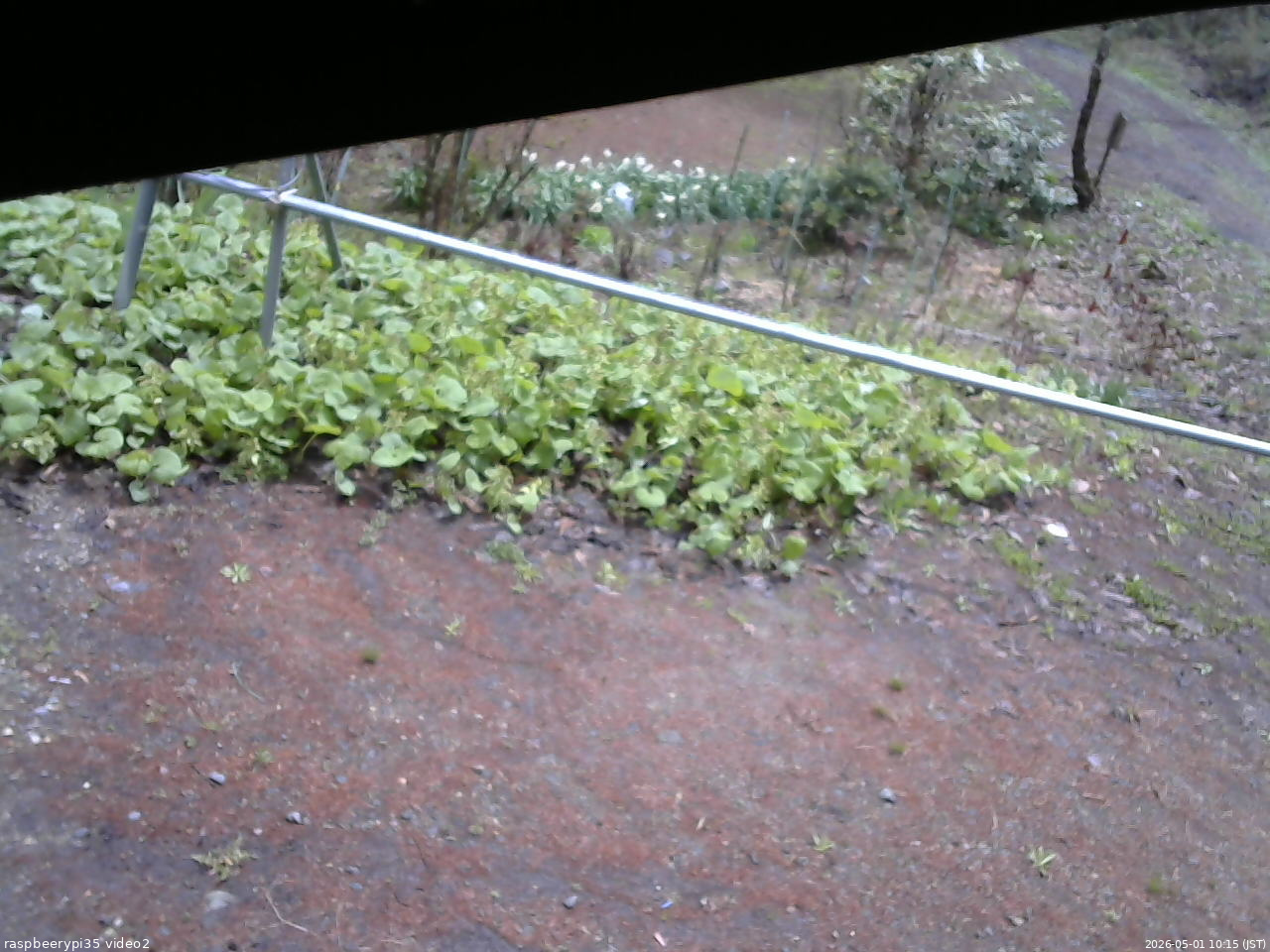 長野県菅平高原 ゆたか山荘 駐車場 2026/05/01 10:15