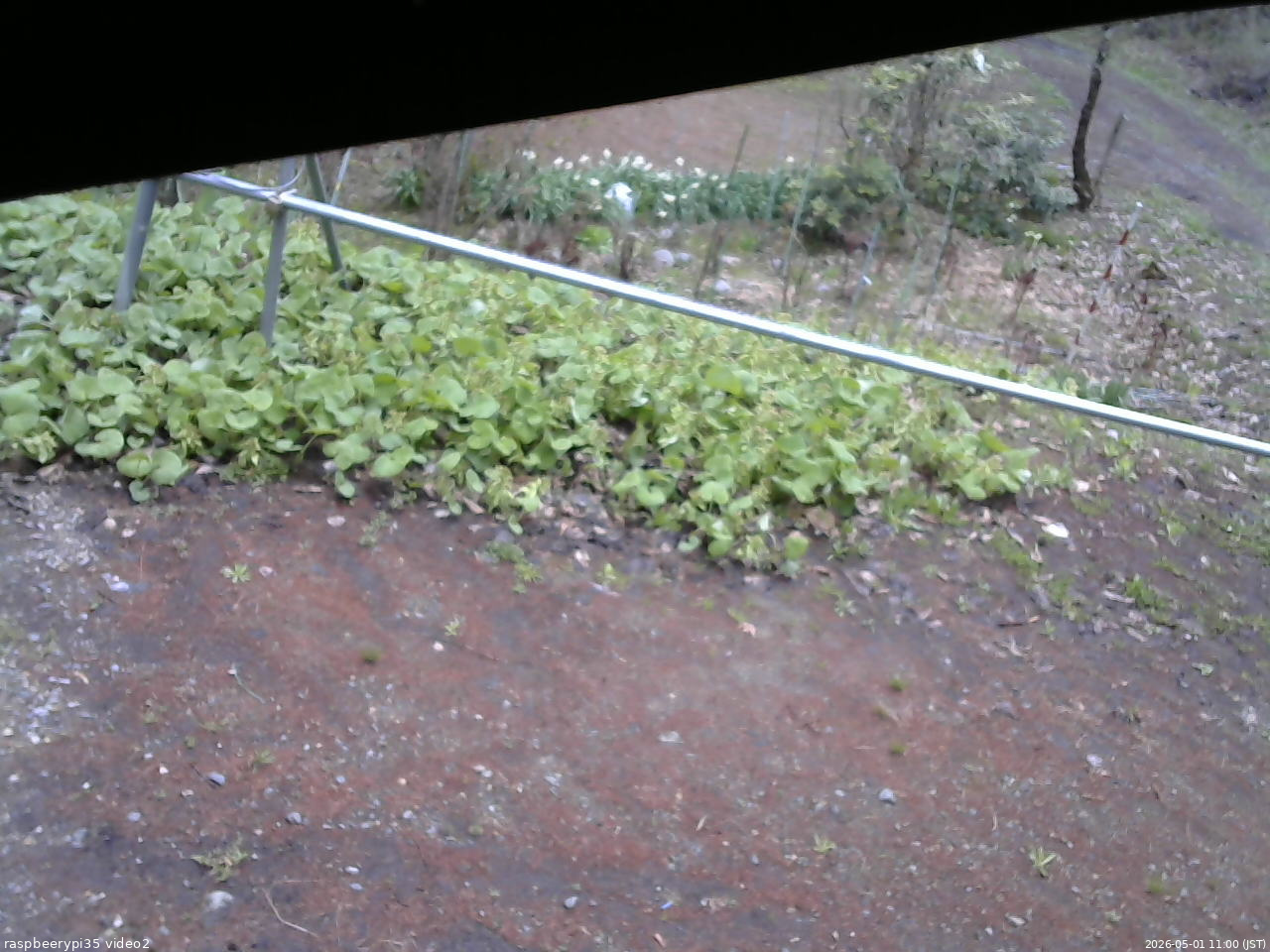 長野県菅平高原 ゆたか山荘 駐車場 2026/05/01 11:00
