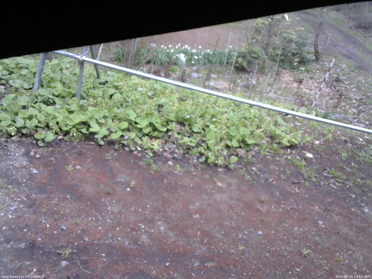 長野県菅平高原 ゆたか山荘 駐車場 2026/05/01 13:15