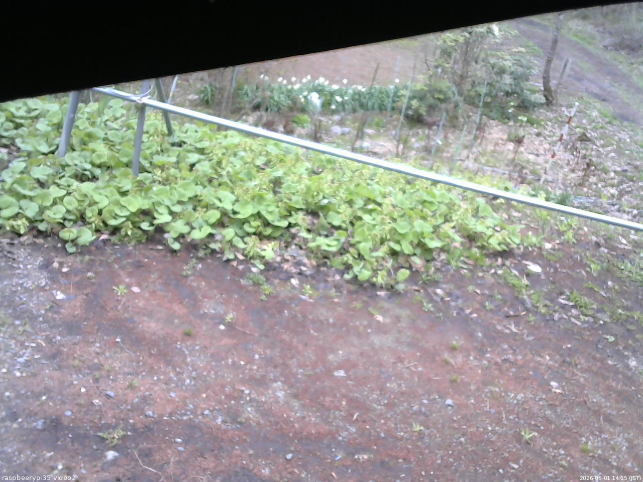 長野県菅平高原 ゆたか山荘 駐車場 2026/05/01 14:15