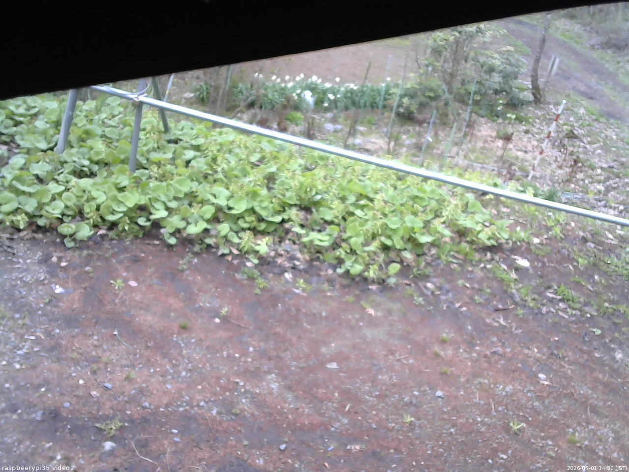 長野県菅平高原 ゆたか山荘 駐車場 2026/05/01 14:30