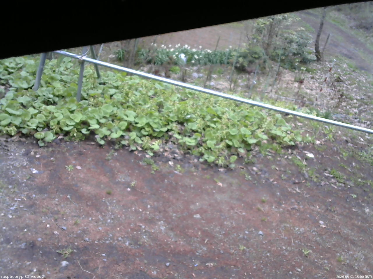 長野県菅平高原 ゆたか山荘 駐車場 2026/05/01 15:00
