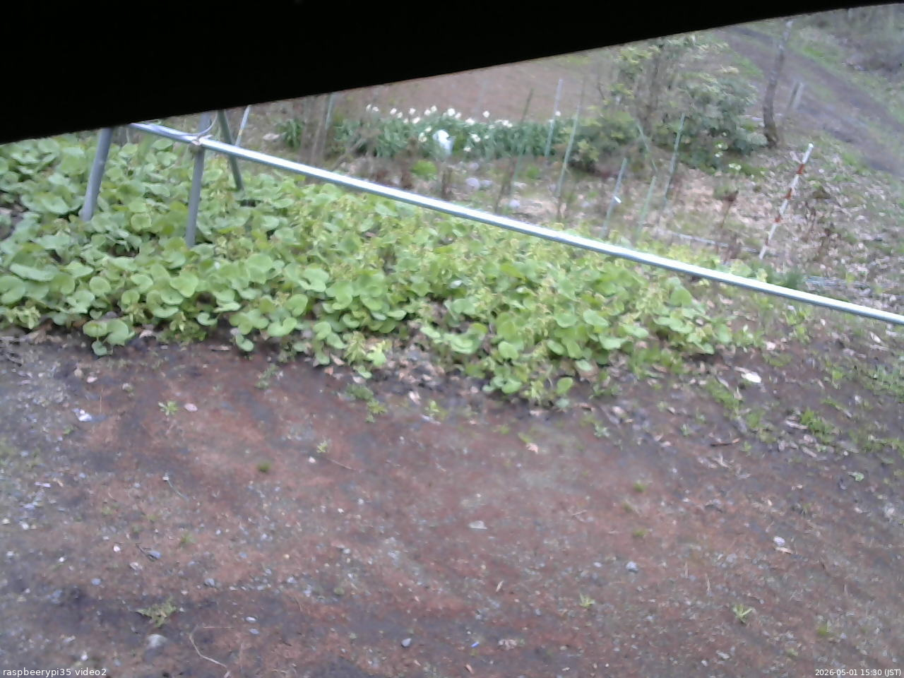 長野県菅平高原 ゆたか山荘 駐車場 2026/05/01 15:30