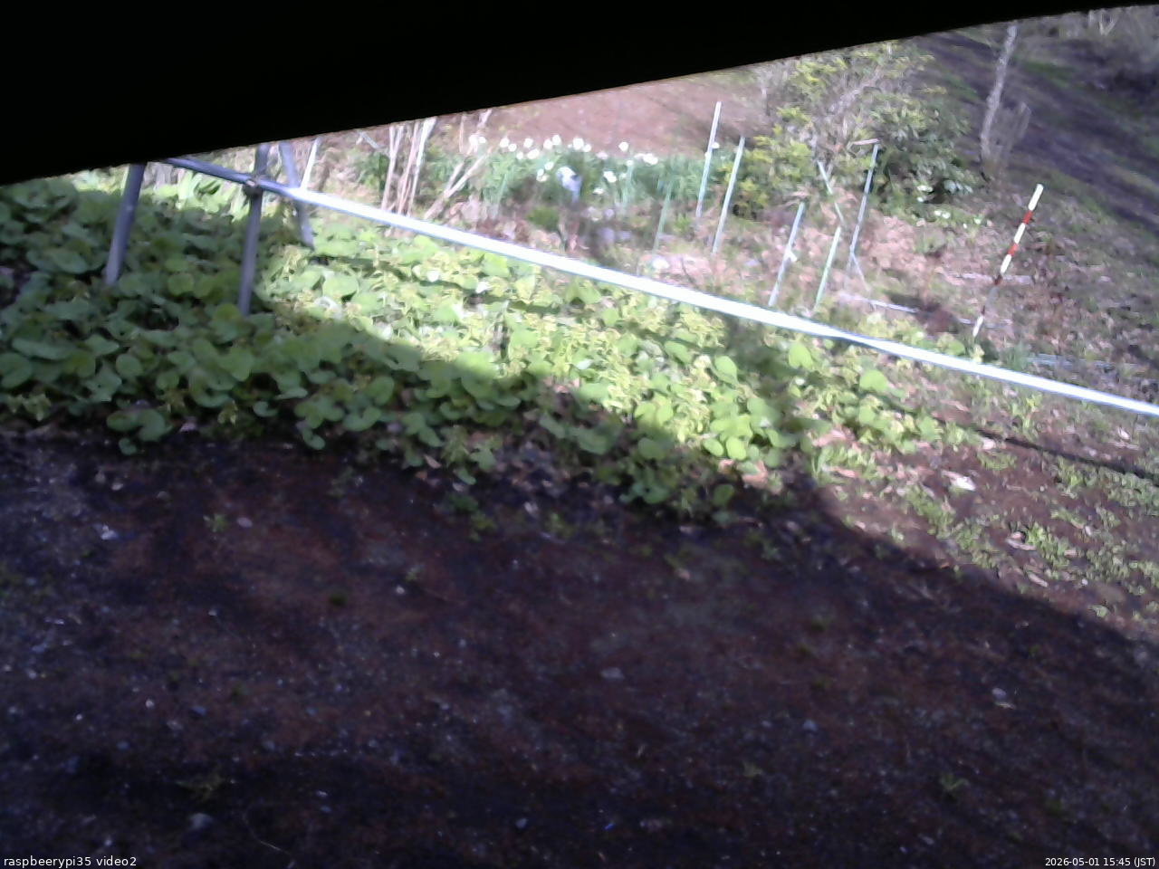 長野県菅平高原 ゆたか山荘 駐車場 2026/05/01 15:45