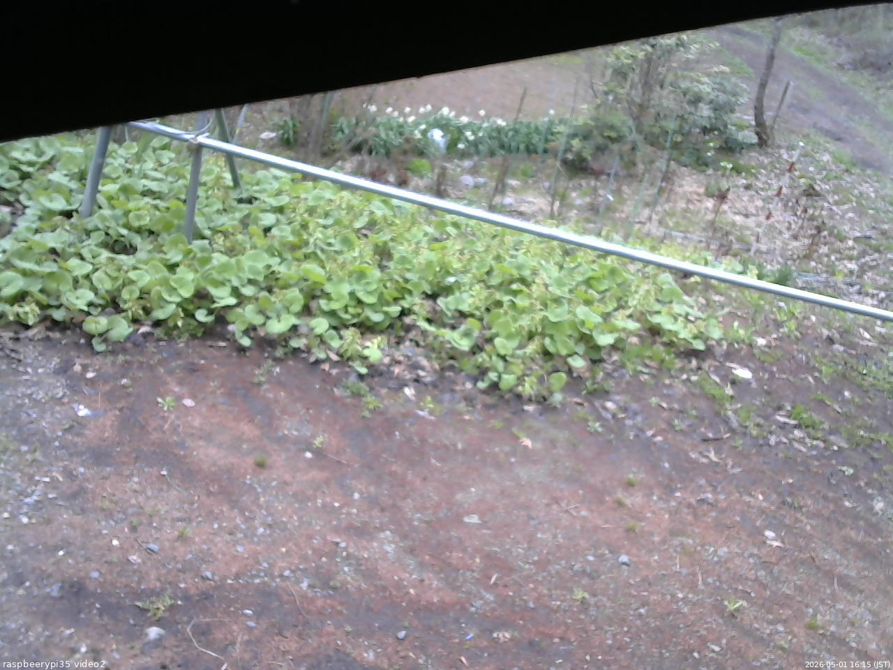 長野県菅平高原 ゆたか山荘 駐車場 2026/05/01 16:15