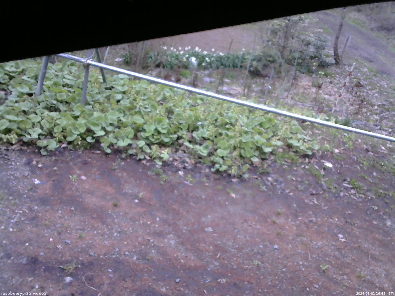 長野県菅平高原 ゆたか山荘 駐車場 2026/05/01 16:45