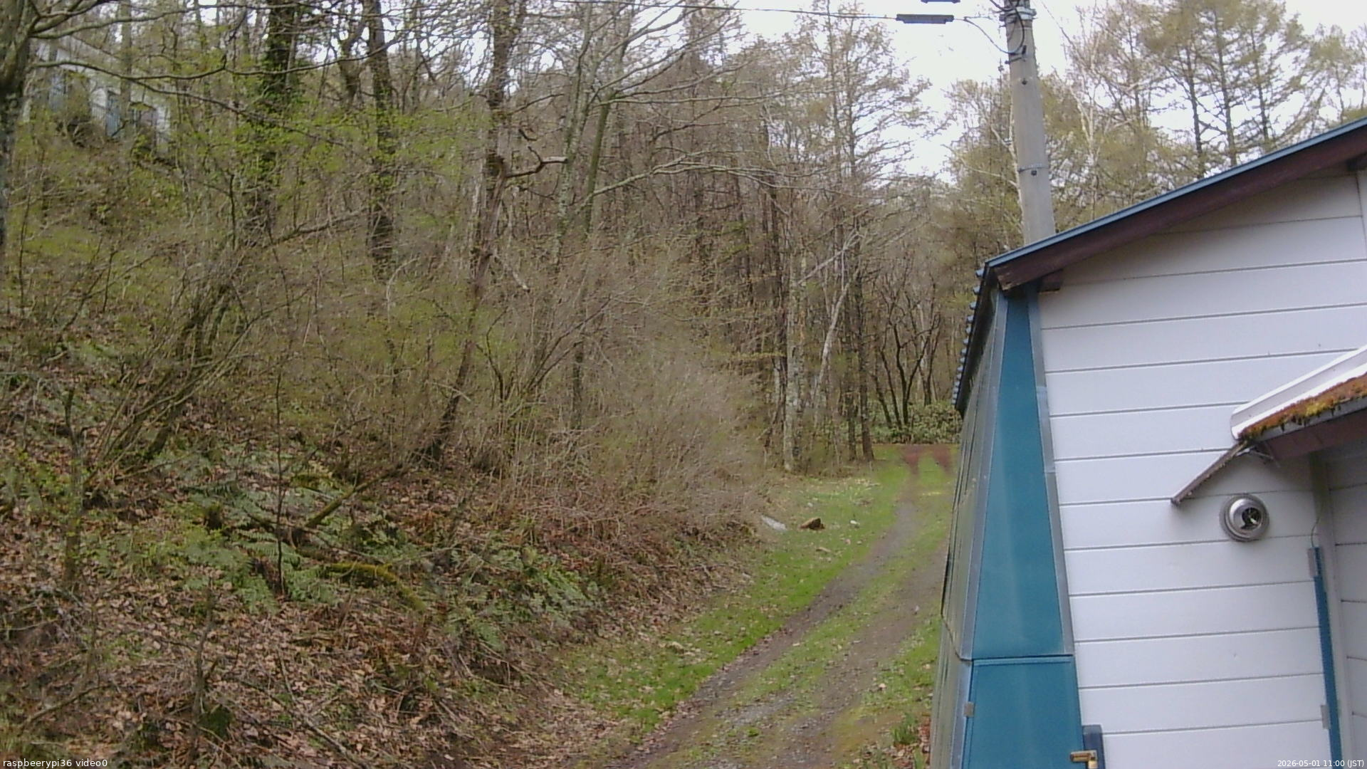 長野県菅平高原 ゆたか山荘 ゆたか山荘 2026/05/01 11:00