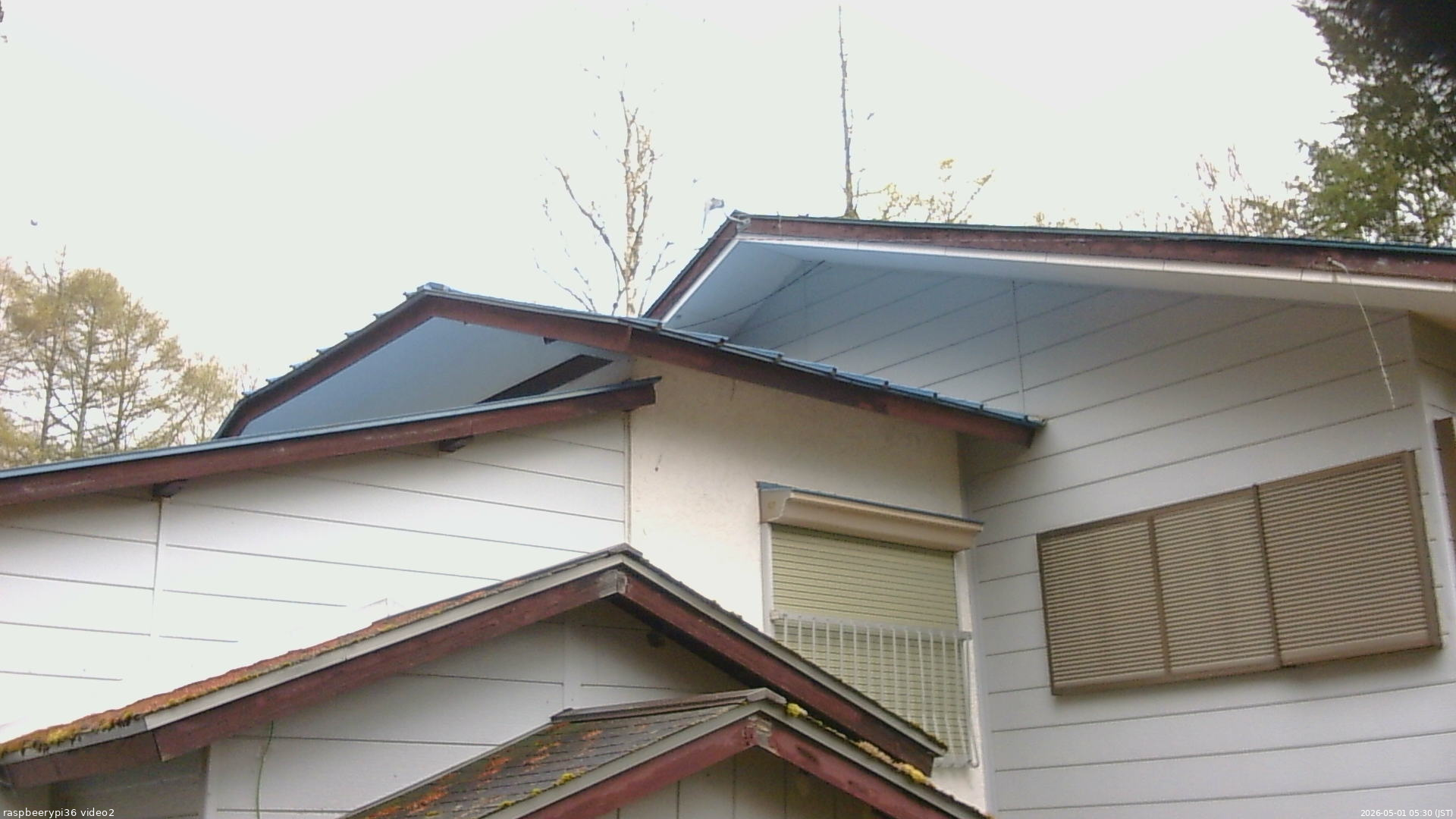 長野県菅平高原 ゆたか山荘 駐車場奥 2026/05/01 05:30