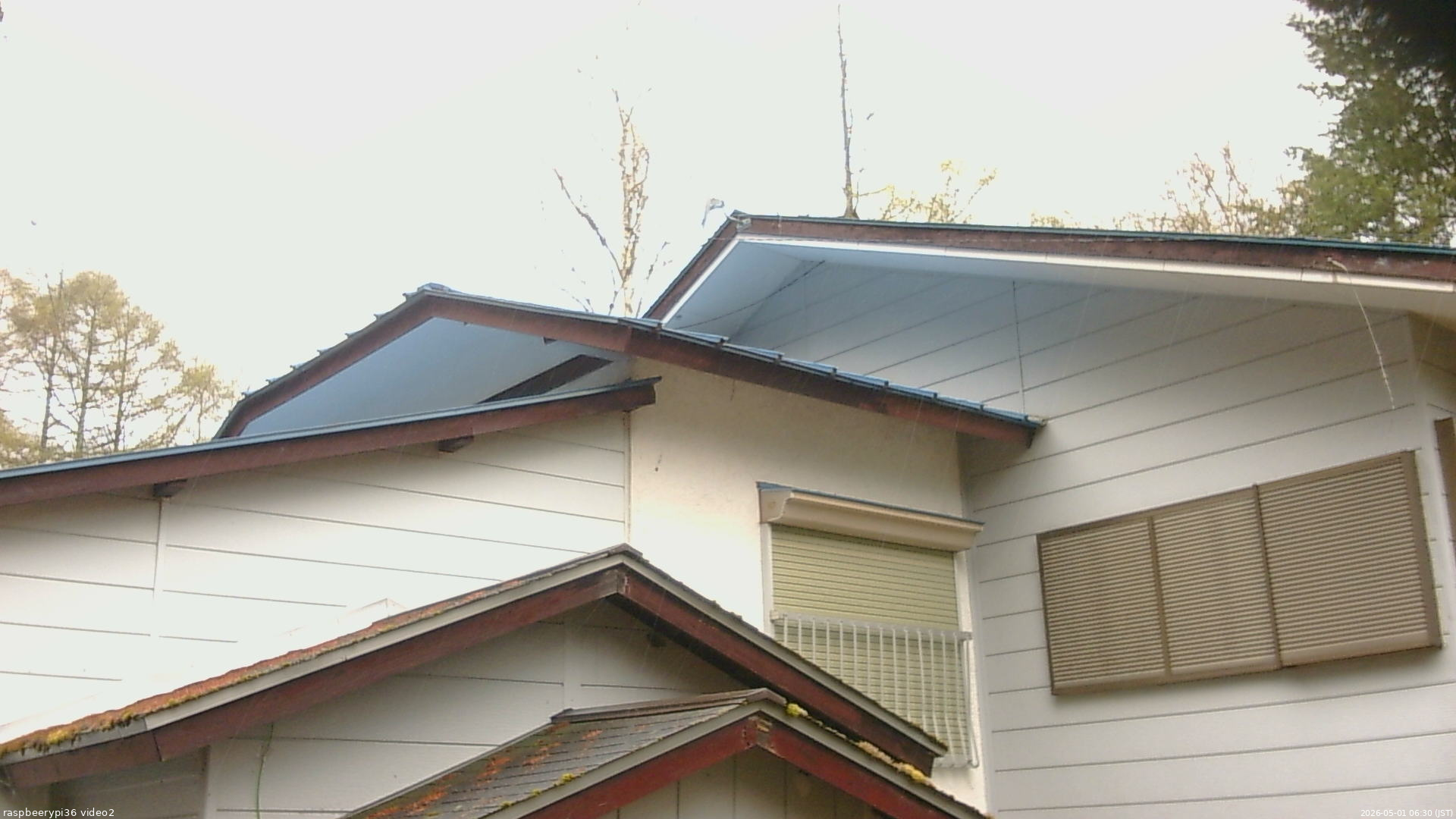 長野県菅平高原 ゆたか山荘 駐車場奥 2026/05/01 06:30