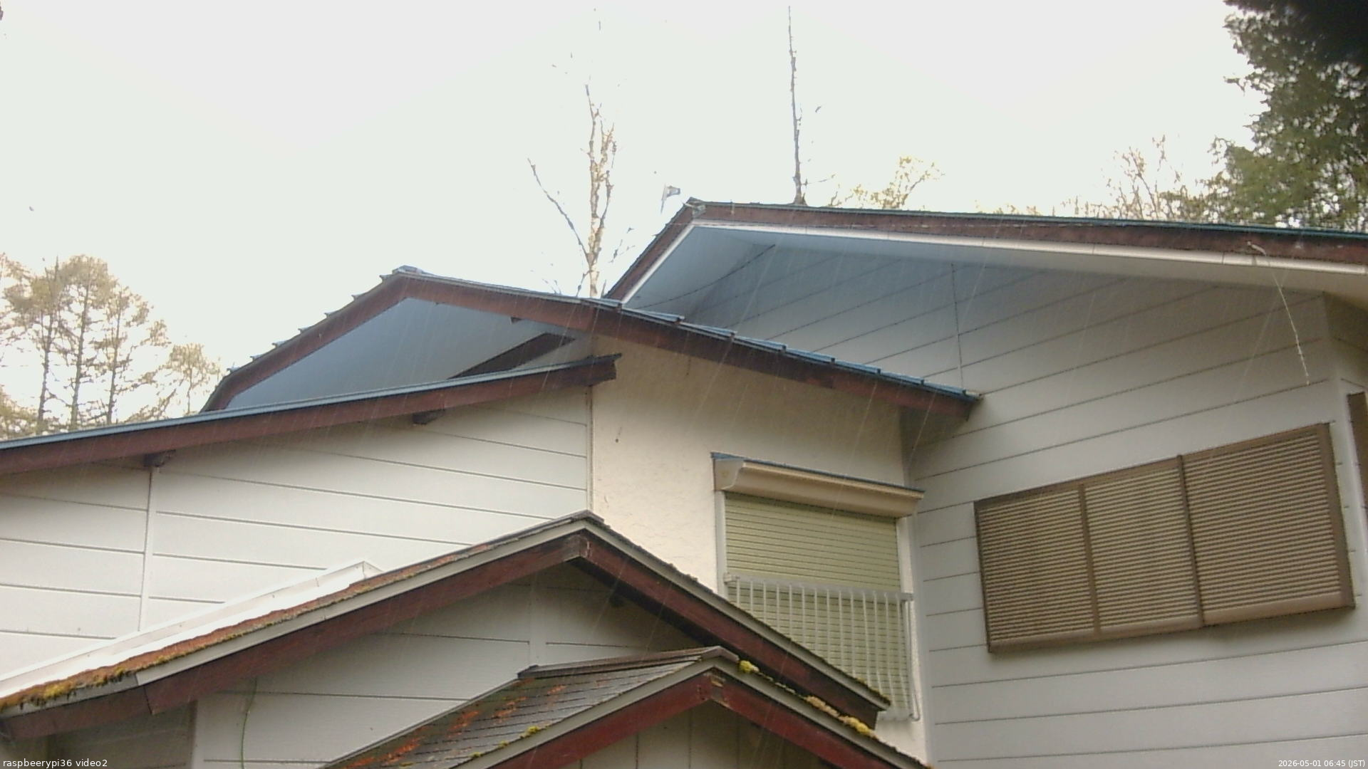 長野県菅平高原 ゆたか山荘 駐車場奥 2026/05/01 06:45