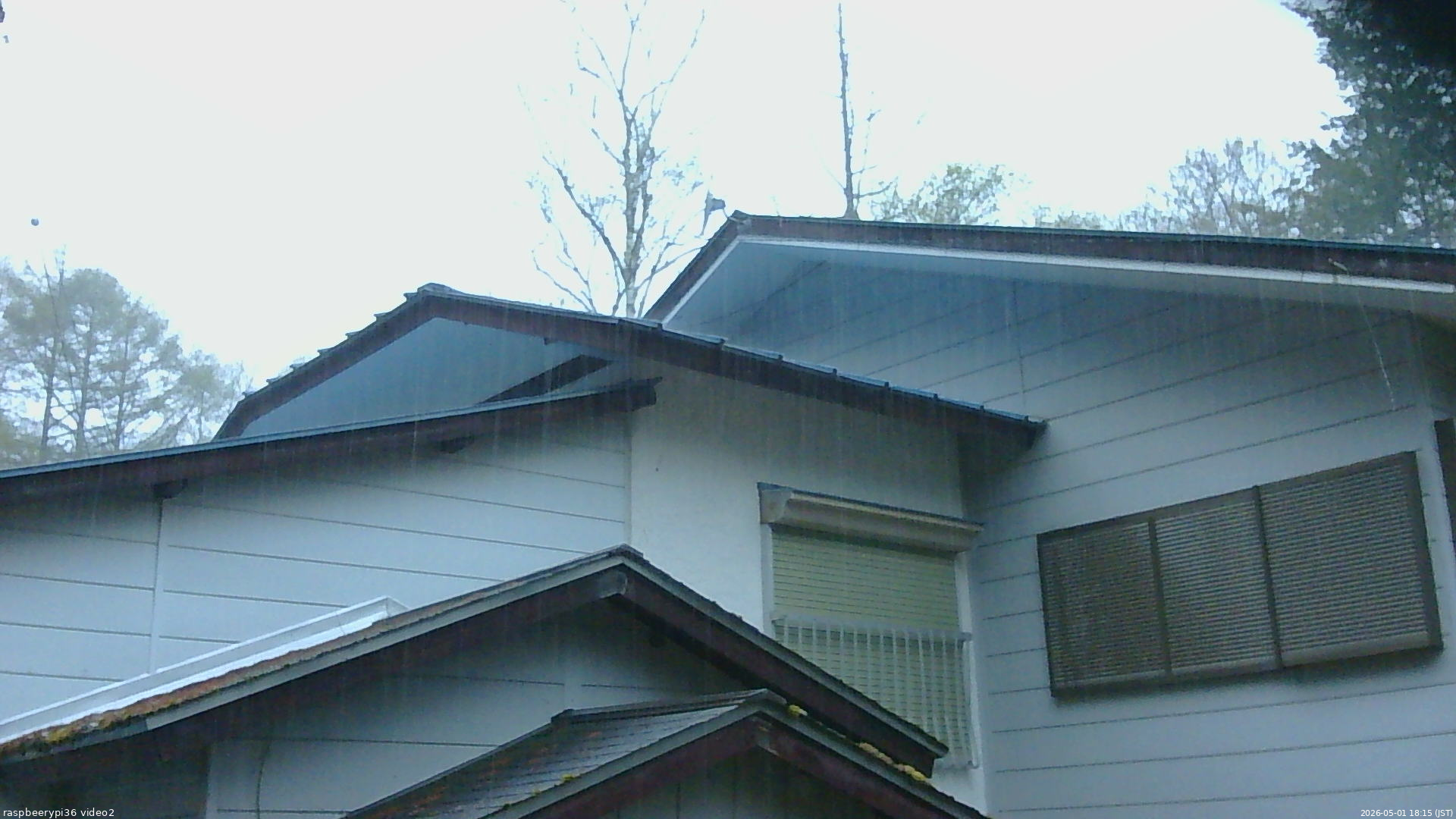 長野県菅平高原 ゆたか山荘 駐車場奥 2026/05/01 18:15