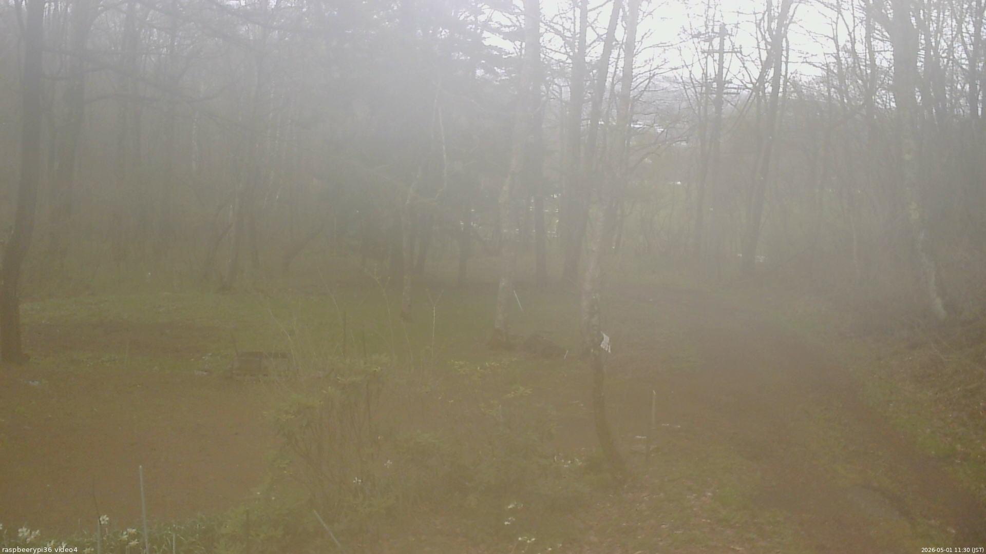長野県菅平高原 ゆたか山荘 坂上 2026/05/01 11:30