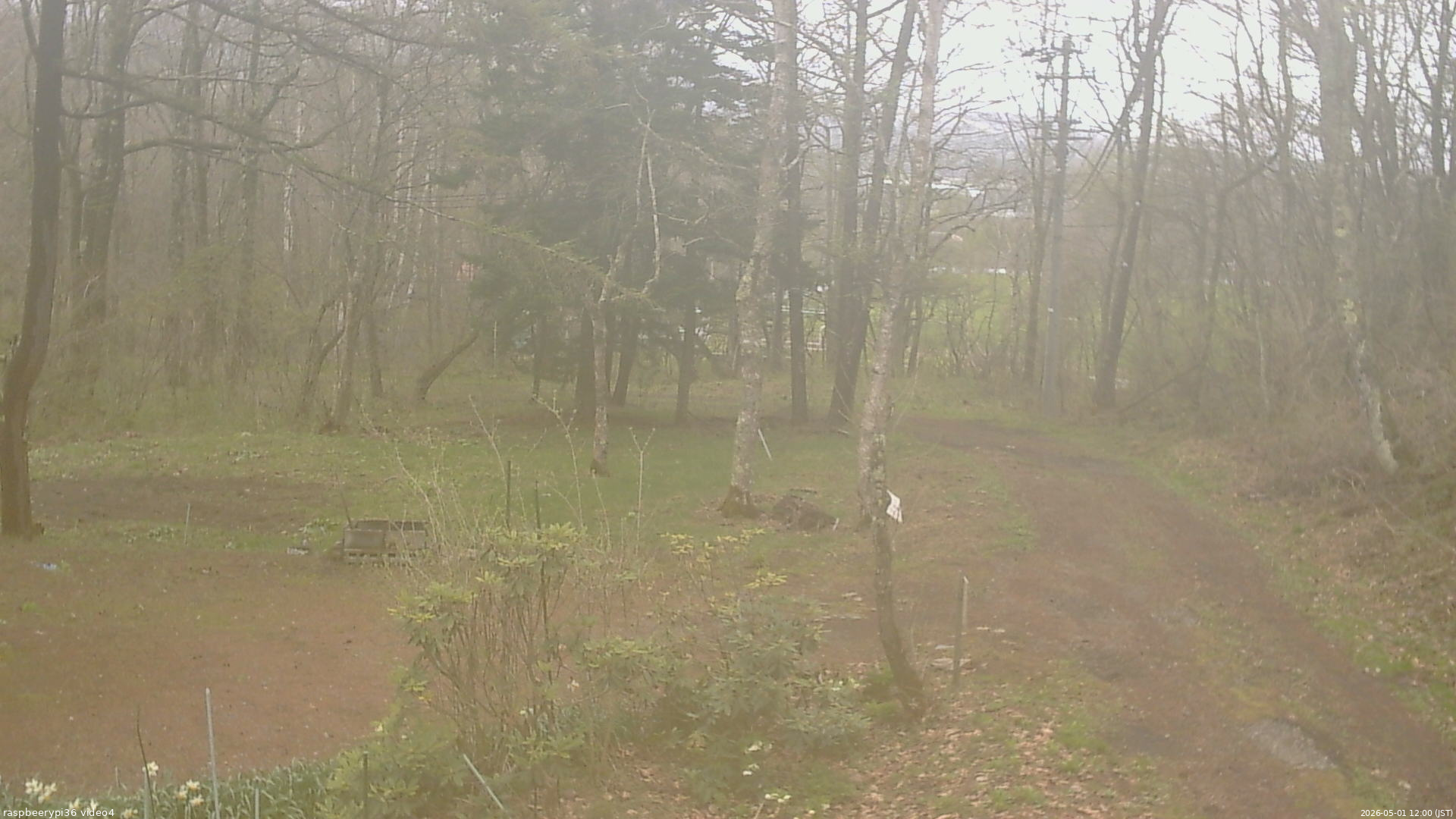 長野県菅平高原 ゆたか山荘 坂上 2026/05/01 12:00