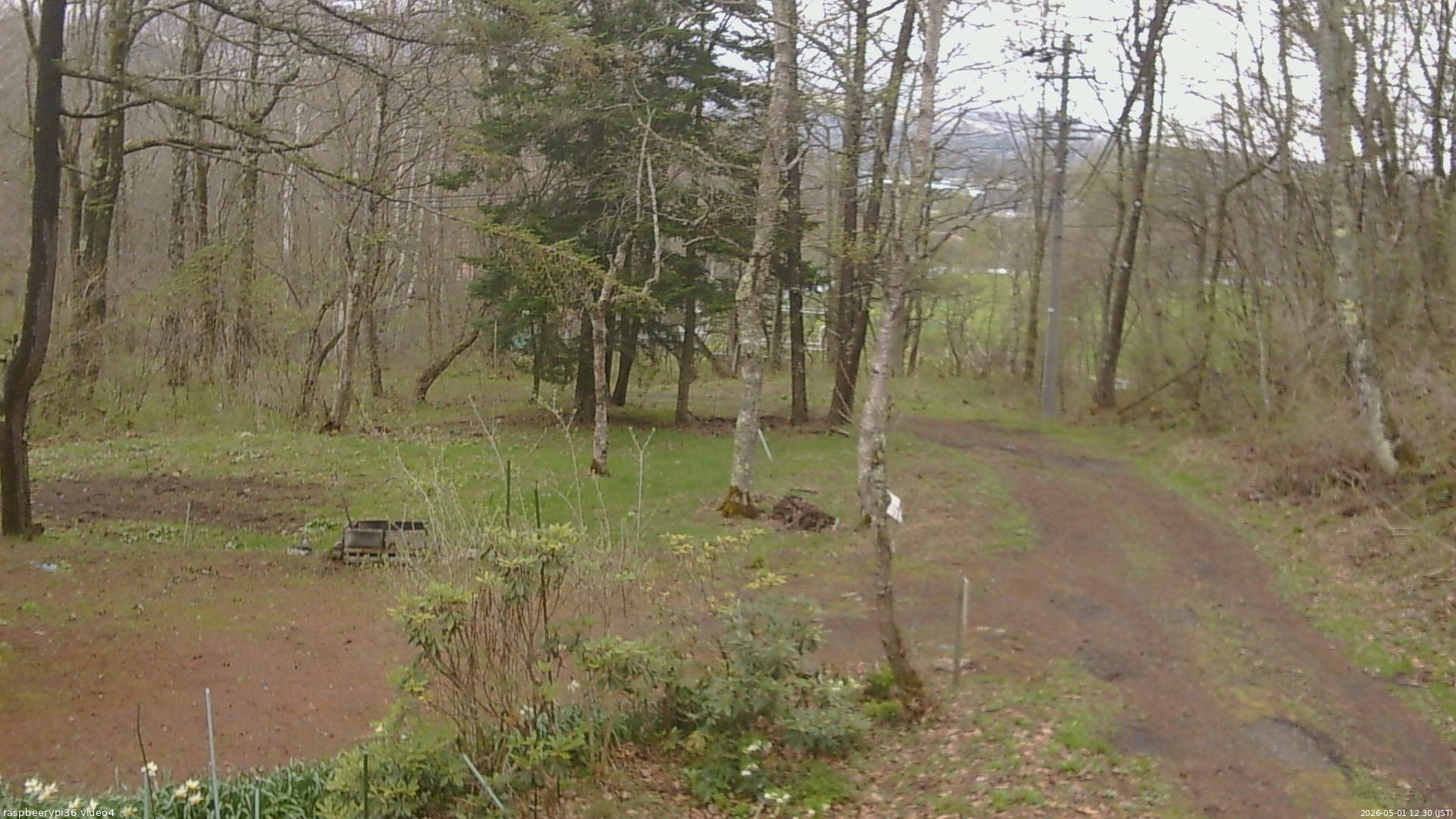 長野県菅平高原 ゆたか山荘 坂上 2026/05/01 12:30