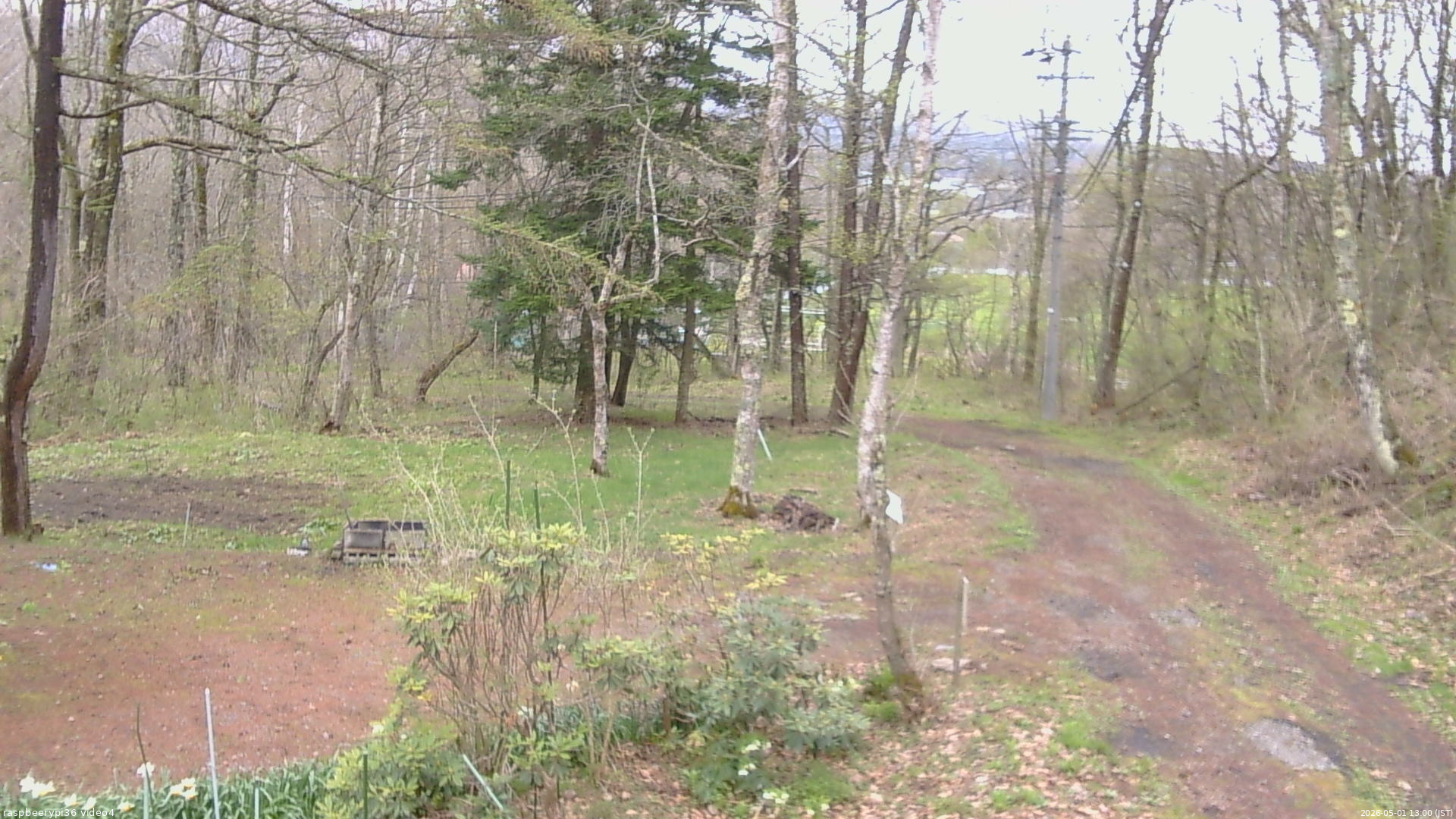 長野県菅平高原 ゆたか山荘 坂上 2026/05/01 13:00
