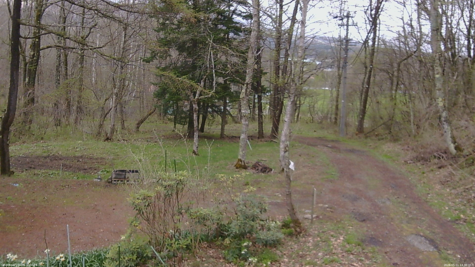 長野県菅平高原 ゆたか山荘 坂上 2026/05/01 13:30