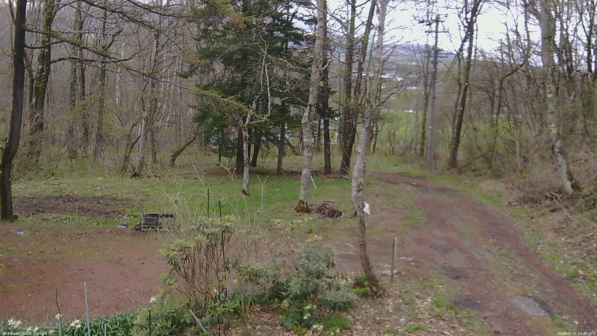長野県菅平高原 ゆたか山荘 坂上 2026/05/01 13:45