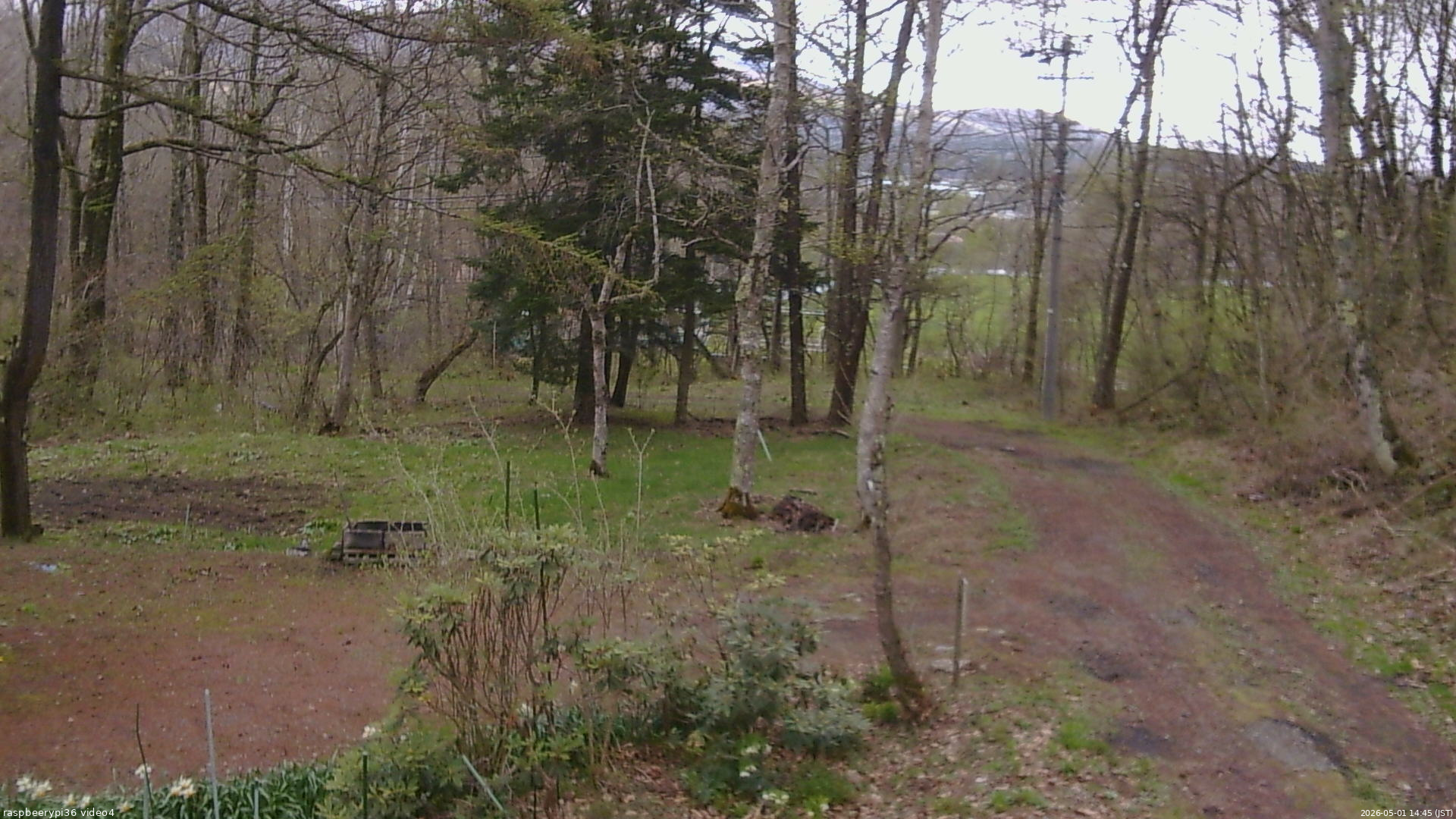 長野県菅平高原 ゆたか山荘 坂上 2026/05/01 14:45
