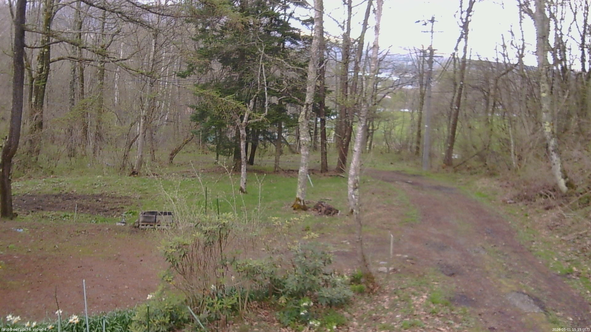 長野県菅平高原 ゆたか山荘 坂上 2026/05/01 15:15