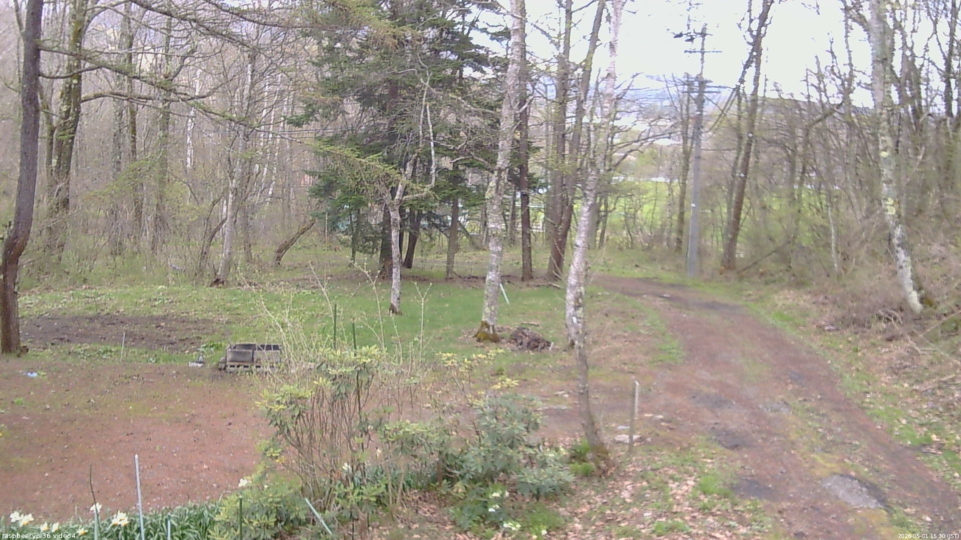 長野県菅平高原 ゆたか山荘 坂上 2026/05/01 15:30
