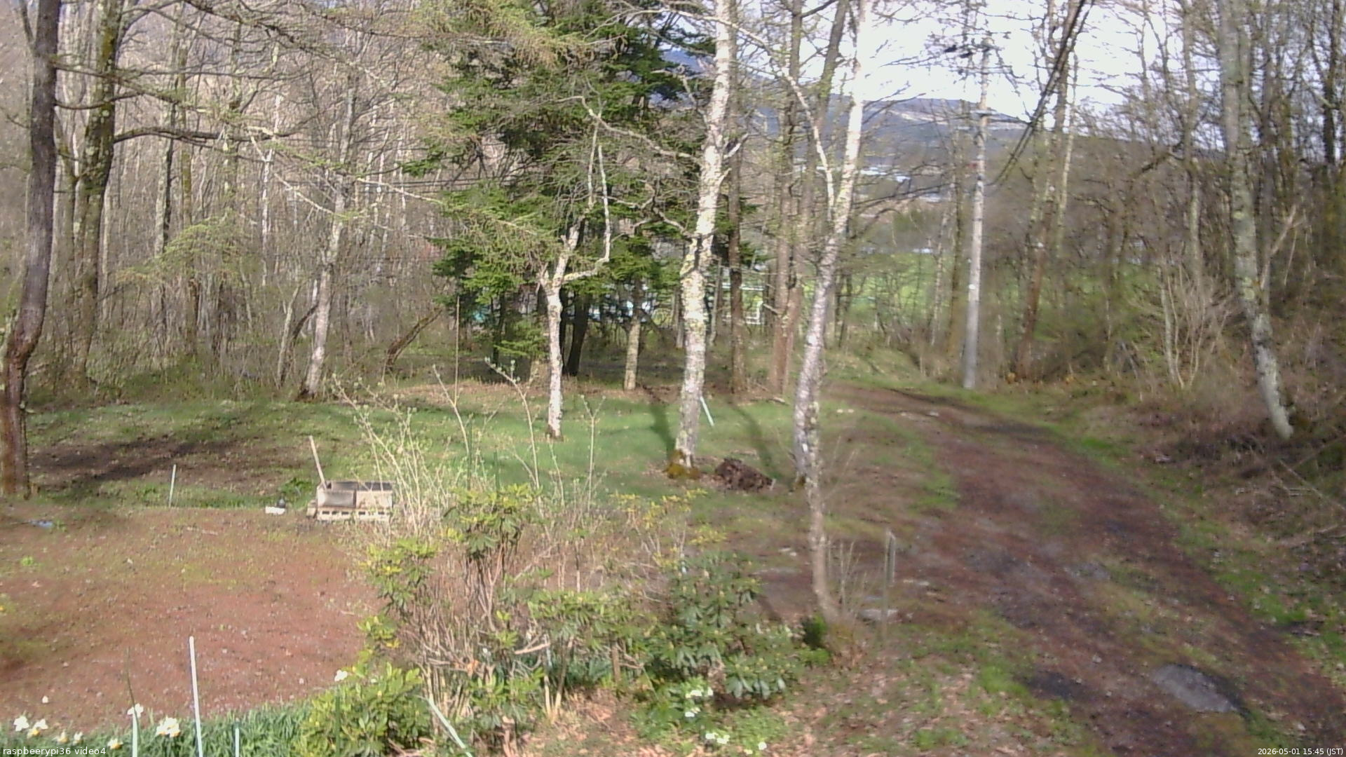 長野県菅平高原 ゆたか山荘 坂上 2026/05/01 15:45