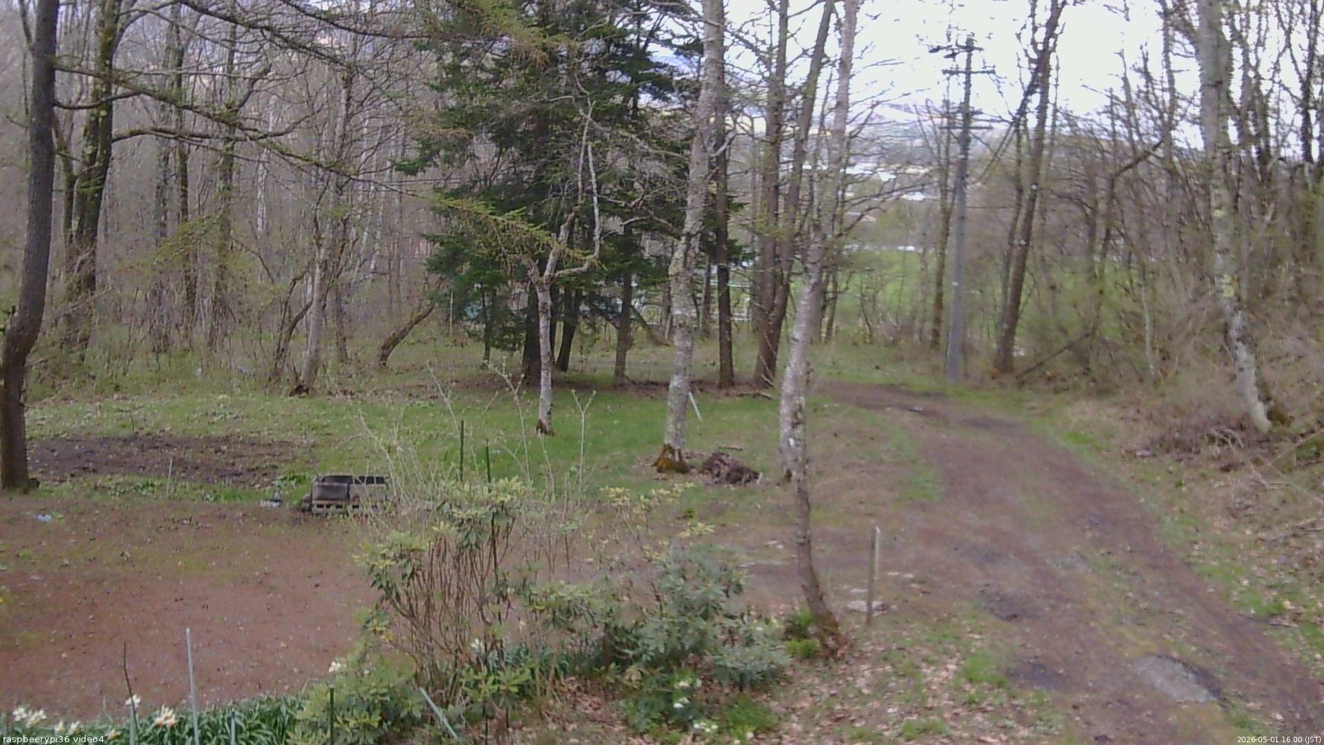 長野県菅平高原 ゆたか山荘 坂上 2026/05/01 16:00