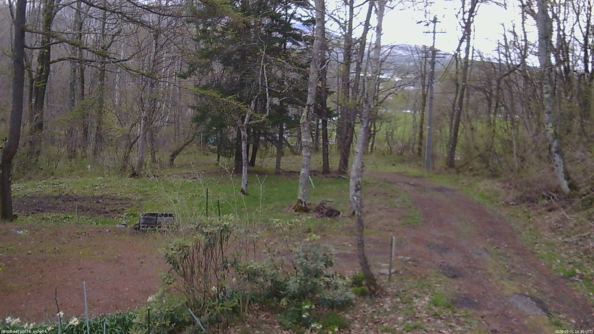 長野県菅平高原 ゆたか山荘 坂上 2026/05/01 16:30