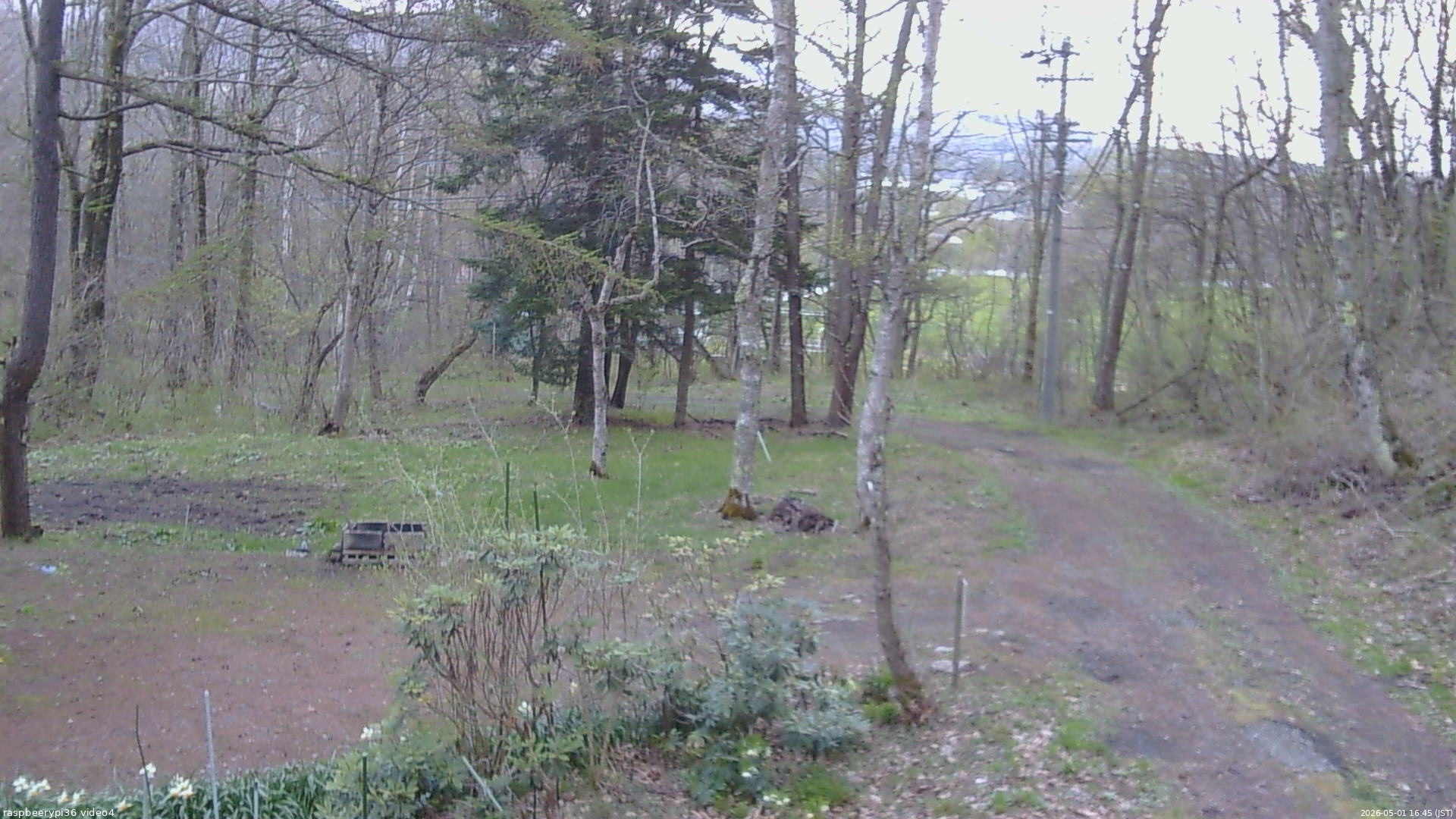 長野県菅平高原 ゆたか山荘 坂上 2026/05/01 16:45